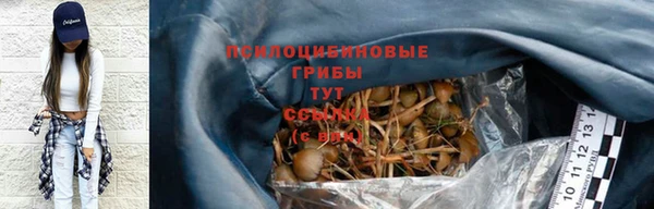 соль ск Балахна