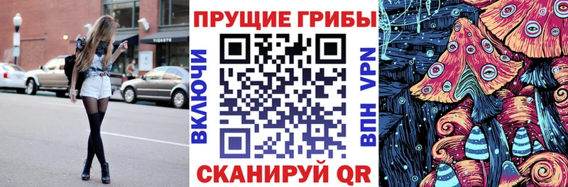 Галлюциногенные грибы Psilocybine cubensis  наркошоп  Покровск 